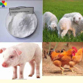 Poultry Medicine Amprolium Hydrochloride Powder Antibiotics for Coccidiosis